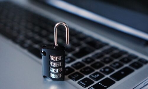 Cyberprzestępczość w Internecie – jak się przed nią skutecznie chronić?