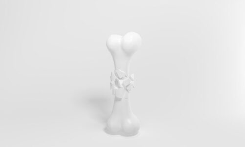 Jakie kości są najbezpieczniejsze dla Twojego psa?