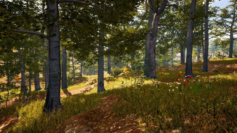 Jakie zwierzęta żyją w lesie polskim – przewodnik dla dzieci i dorosłych