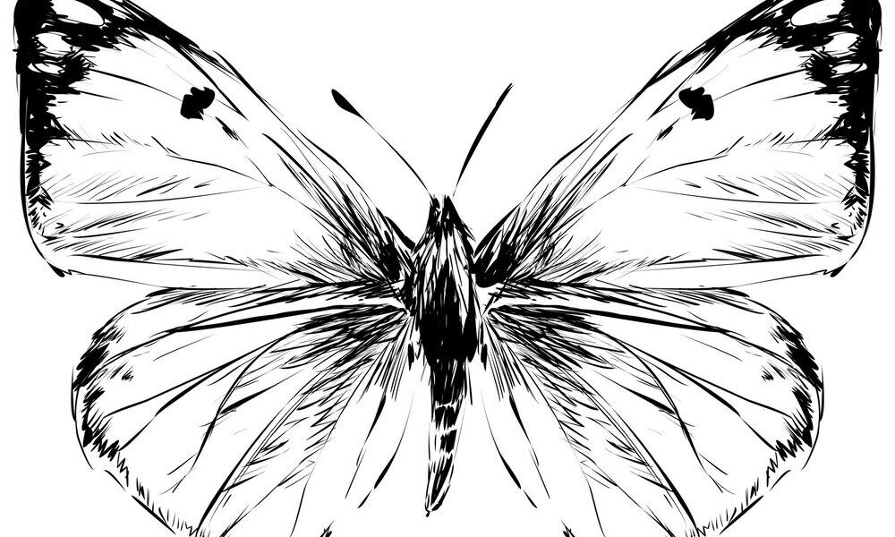 Tatuaż motyla – co oznacza i jaką ma symbolikę?