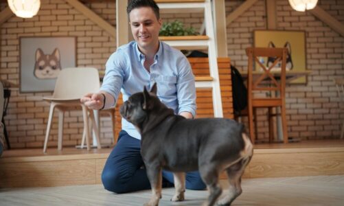 Ile zarabia behawiorysta – stawki, perspektywy, możliwości pracy