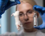 Jak wygląda testowanie kosmetyków na zwierzętach – procedury, kontrowersje, prawo