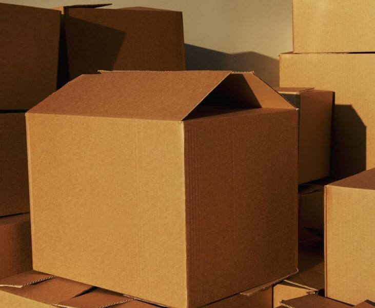 Jak prognozowanie popytu może obniżyć koszty wysyłki? Inteligentne zarządzanie zapasami w e-commerce